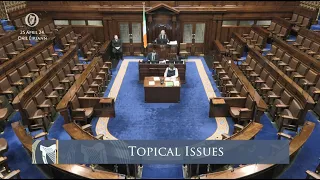 Leas Ceann Comhairle Catherine Connolly almost abandons topical issues due to empty Dáil