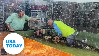 Alligator bites the hand of its handler during a children's party | USA TODAY