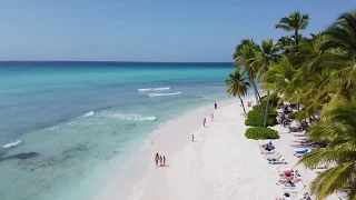 Saona Island - Dominican Republic  by Drone