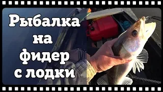 Рыбалка на фидер с лодки. Судак, язь, лещ на фидер.