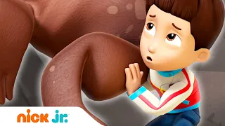 Щенячий патруль | Щенки спасают сюрприз 🐾 | Nick Jr. Россия