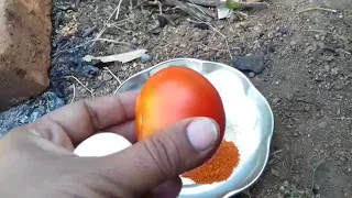 How To Cook An Egg Omelette In A Tomato / Rare Recipe / Wild Survival Style / KHANA KHAZANA