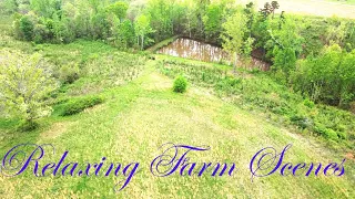 Relaxing Farm Scenes set to Classical music (time lapse and drone footage) #31