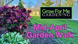 Mid April Garden Check-In