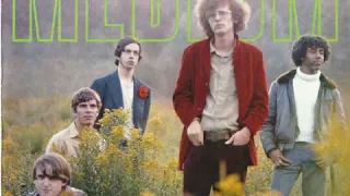 The Medium - The Meduim  1969  (full album)