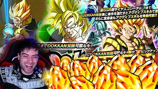 🔥 ALL-IN TOTALE DI 1400 STONES E BECCATI STO TRAP- GOGETAAAAAA 😍 SUMMON 9 ANNIVERSARIO DOKKAN BATTLE