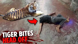 This Tiger BITES Thottathil Prajeesh's HEAD OFF!