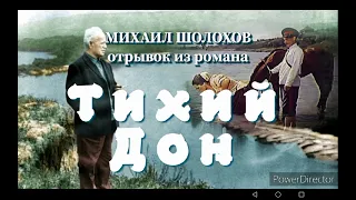 Герои романа М.А. Шолохова "Тихий Дон"