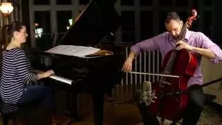 Elastic Heart Cover - Sia (Cello/Piano) - Brooklyn Duo