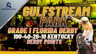 Grade 1 Florida Derby Stakes | Preview & Pick Gulfstream Park 14th Race 3/30/2024