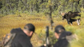 S03E07 - Chasse à l'Orignal dans les Monts-Valins