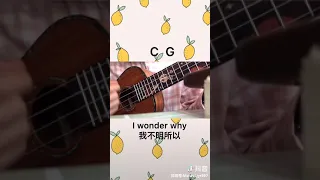 🍋 Lemon Tree 🍋 Tiktok cover