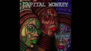 Capital Monkey - Water Watah (Original Mix)