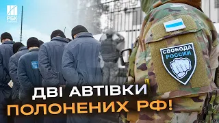 Бійці РДК під час рейду в Бєлгородській області взяли у полон 25 російських військовослужбовців!