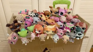 LPS: the BIGGEST unboxing of kilograms of happiness