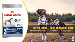 Сухой корм для взрослых крупных собак c чувствительным пищеварением · Royal Canin Maxi Digestive Car