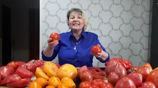 Самые вкусные и урожайные сорта томатов в разрезе 2021. часть 1.