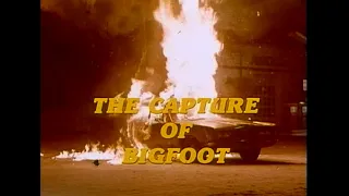 The Capture Of Bigfoot (1979) TV Spot