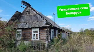 Три деревни Беларуси. Села умирают, никто не хочет работать на полях?