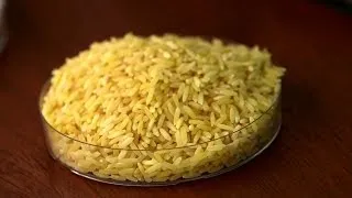 GMO debate grows over golden rice in the Philippines