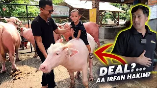 Anak Kerbau Lucu Deal Pindah Kandang Ke A Irfan Hakim?🔥🔥