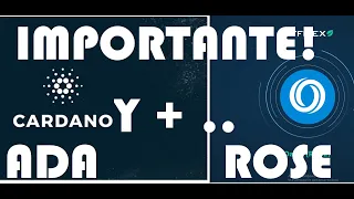 ROSE Y ADA:¡PARA TOMAR DECISIONES! Analisis Oasis Network HOY CARDANO CHILLIZ DOT AXS ONE VELAS