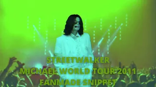 STREETWALKER/MICHAEL WORLD TOUR 2011/FANMADE TRAILER