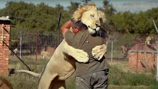 Animals Reunite With Their Owners AFTER YEARS OF SEPARATION