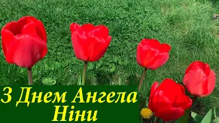 Вітання для Ніни з Днем Ангела! Ніна, вітаю! Привітання для Ніни з Іменинами! День Ангела Ніни