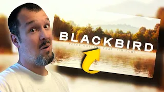 Saucey Reacts | Peter Hollens ft. Tim Foust - Black Bird | Goosebumps! I NEED This Album!