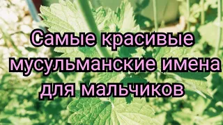 😍САМЫЕ КРАСИВЫЕ МУСУЛЬМАНСКИЕ ИМЕНА ДЛЯ МАЛЬЧИКОВ 🌱