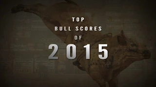 Top Bull Scores of 2015 (PBR)