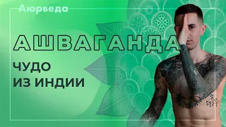 Аюрведа для начинающих - Ашваганда. Чудо аюрведы. Как применять?