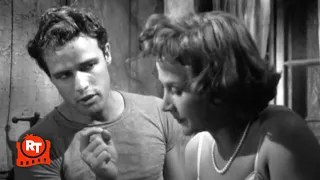 A Streetcar Named Desire (1951) - The Napoleonic Code Scene | Movieclips