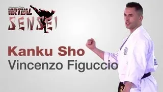 Vincenzo Figuccio teaching kata Kanku Sho - Karate & Relax June 2013