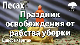 Урок для женщин. Песах - праздник освобождения от рабства уборки. Ципора Харитан