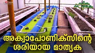 A proper model of Aquaponics | Haritham Sundharam EP 267 | Kaumudy