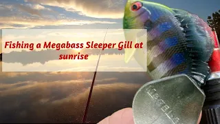 Fishing the Megabass Sleeper Gill at Sunrise (first time fishing it)