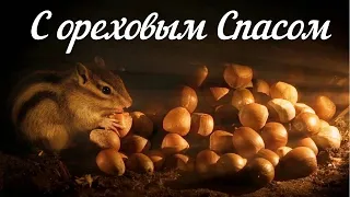 #С ореховым Спасом. #Красивое видео поздравление