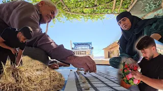 "Unveiling Rural Adventures: Mastering Cooking, Parenting, and Harvesting Agricultural Crops"