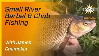 Barbel Fishing - Targeting Small Rivers With James Champkin