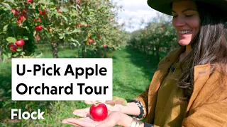 Tour a U-Pick APPLE ORCHARD with 60 Different Apples! — Ep. 021