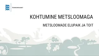 Metsloomade elupaik ja toit | Kohtumine metsloomaga