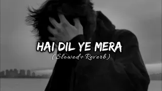 Hai Dil Ye Mera ( slowed+reverb ) | Arijit Singh | Lofi Song #lofi #viral #slowedandreverb