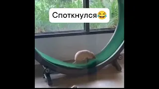 Так быстро бежит!