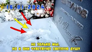 как выглядит могила Юрия Шатунова сегодня на Троекуровском кладбище 16 января 2024 г.