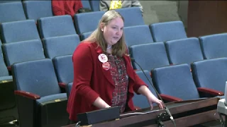 FCPS School Board Public Hearing 1-27-20 Budget