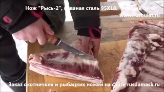 Охотничий нож Рысь 2 сталь 95Х18 Видео обзор и отзыв Русский булат Как выбрать Нож 95х18 тест охота