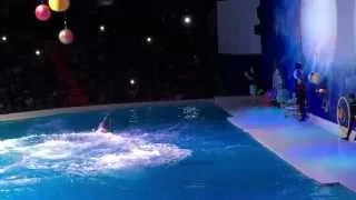 Dubai Dolphinarium 2015