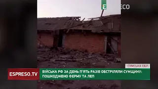 Війська РФ за день 5 разів обстріляли Сумщину: пошкоджено ферму та ЛЕП